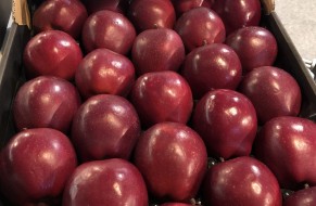 KING® ROAT RED DELICIOUS
